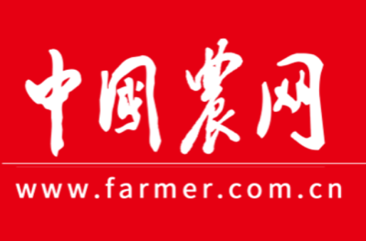 湖南省湘乡市：爱农业懂技术 “新农人”带领乡亲奔向致富路