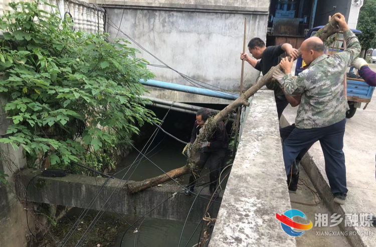 [望春门街道]“把脉”欧家港 治理河道顽疾