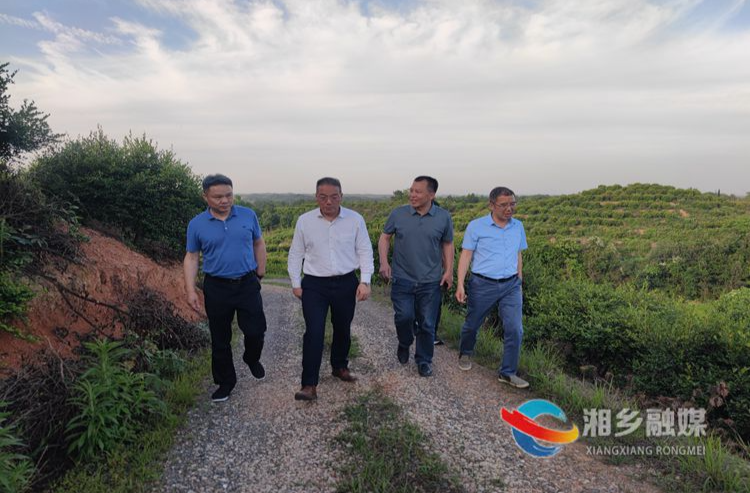 湘潭市林业局来湘乡调研油茶产业发展情况