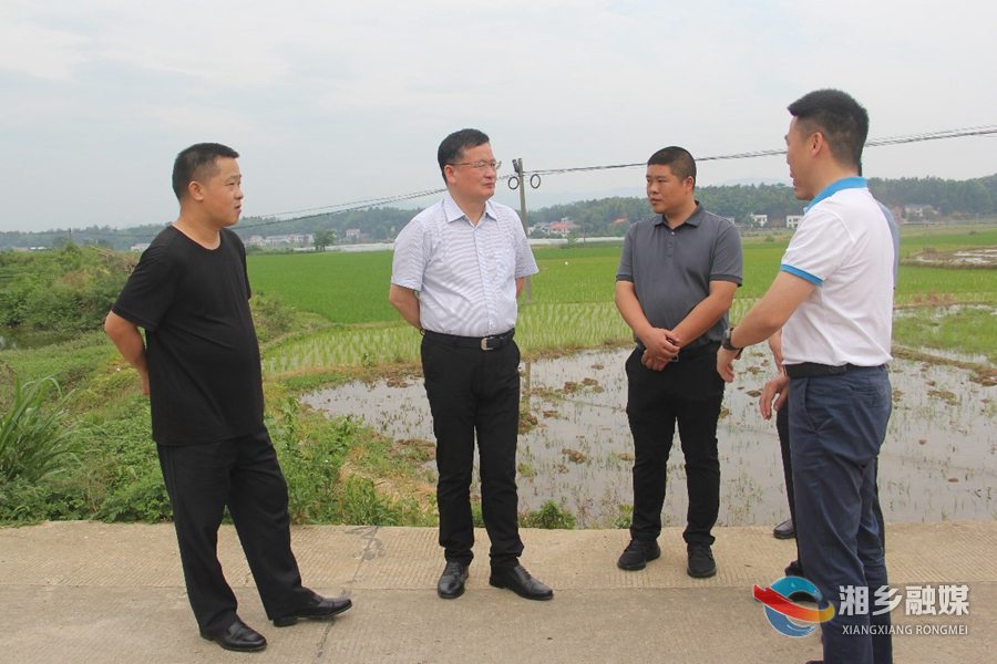 赵新文：立行立改  整改销号 不断提升人民群众对生态环境的获得感和满意度