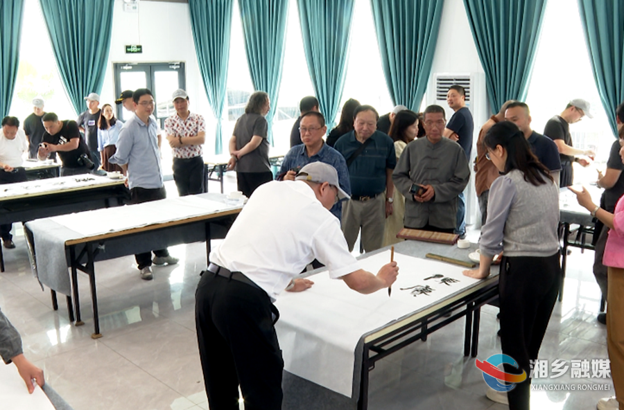 全省“文艺两新”骨干来湘乡开展采风创作活动