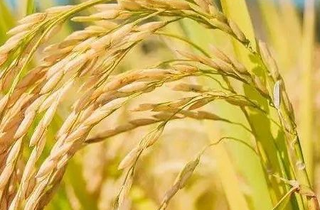 涉及快递包装、粮食安全 6月起这些新规将施行