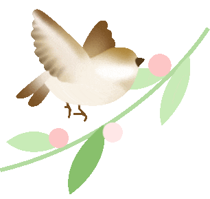 快来投票！选出你心中的湘潭市“市鸟”