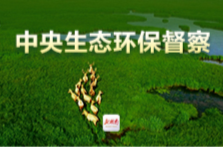 中央第五生态环境保护督察组向湖南交办第二十批信访件140件