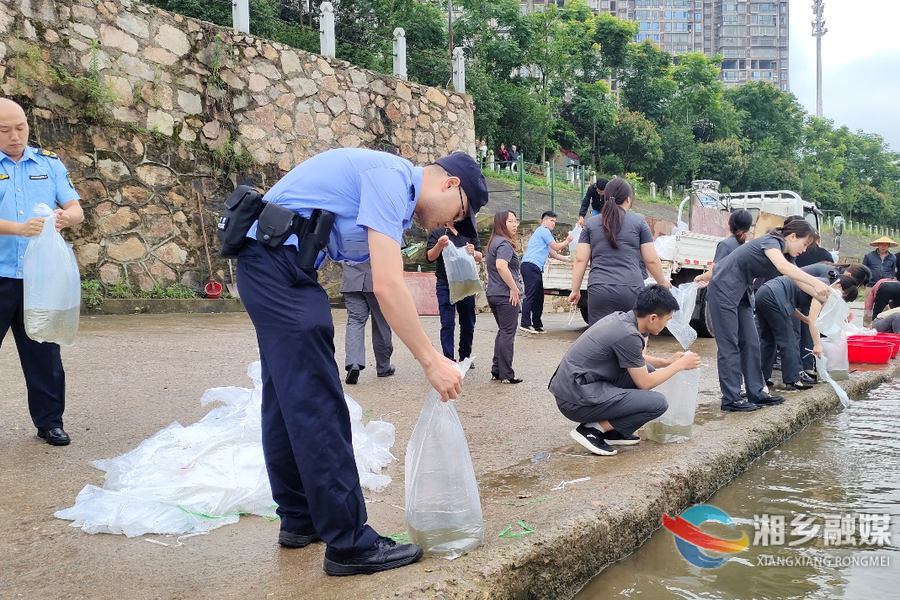 捕鱼变“补鱼”！湘乡74万尾幼鱼游入涟水河