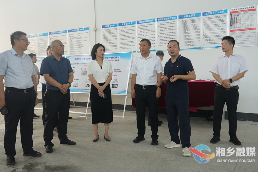 湖南有色金属控股集团有限公司来湘乡考察 赵新文郭勇参加座谈