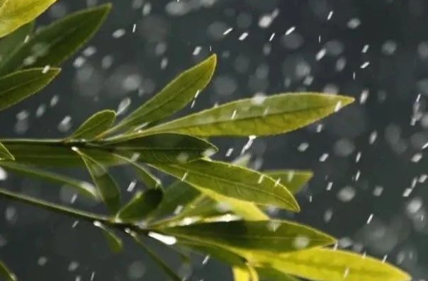 雷暴、大风＋短时强降水又要来了！湘乡未来三天天气……