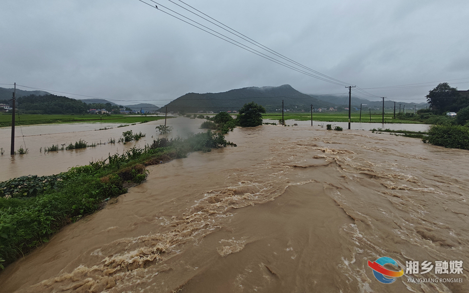 金石镇：暴雨致大面积农田受灾 当地干部群众积极开展自救