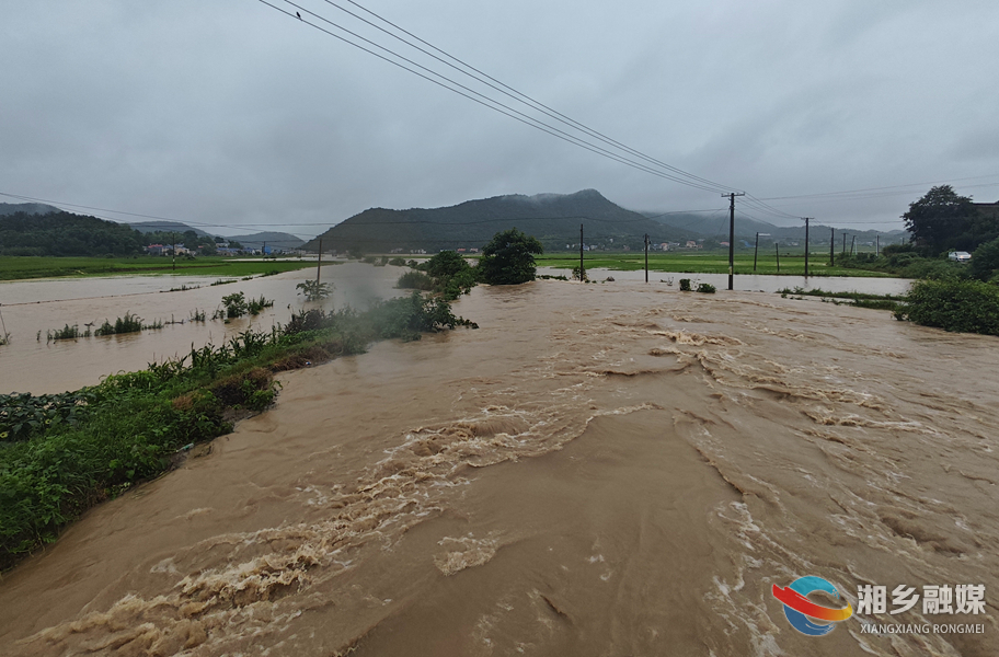 金石镇：暴雨致大面积农田受灾 当地干部群众积极开展自救