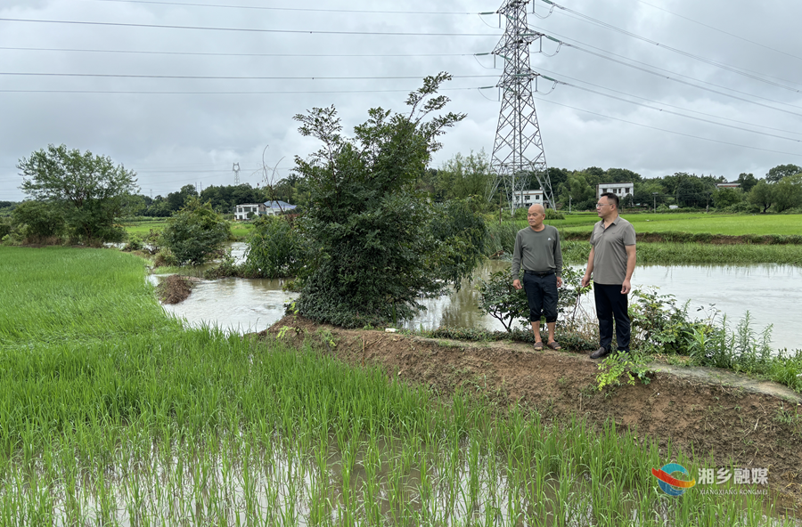 【迎战强降雨】湘乡：农技人员下沉一线 指导灾后田间管理