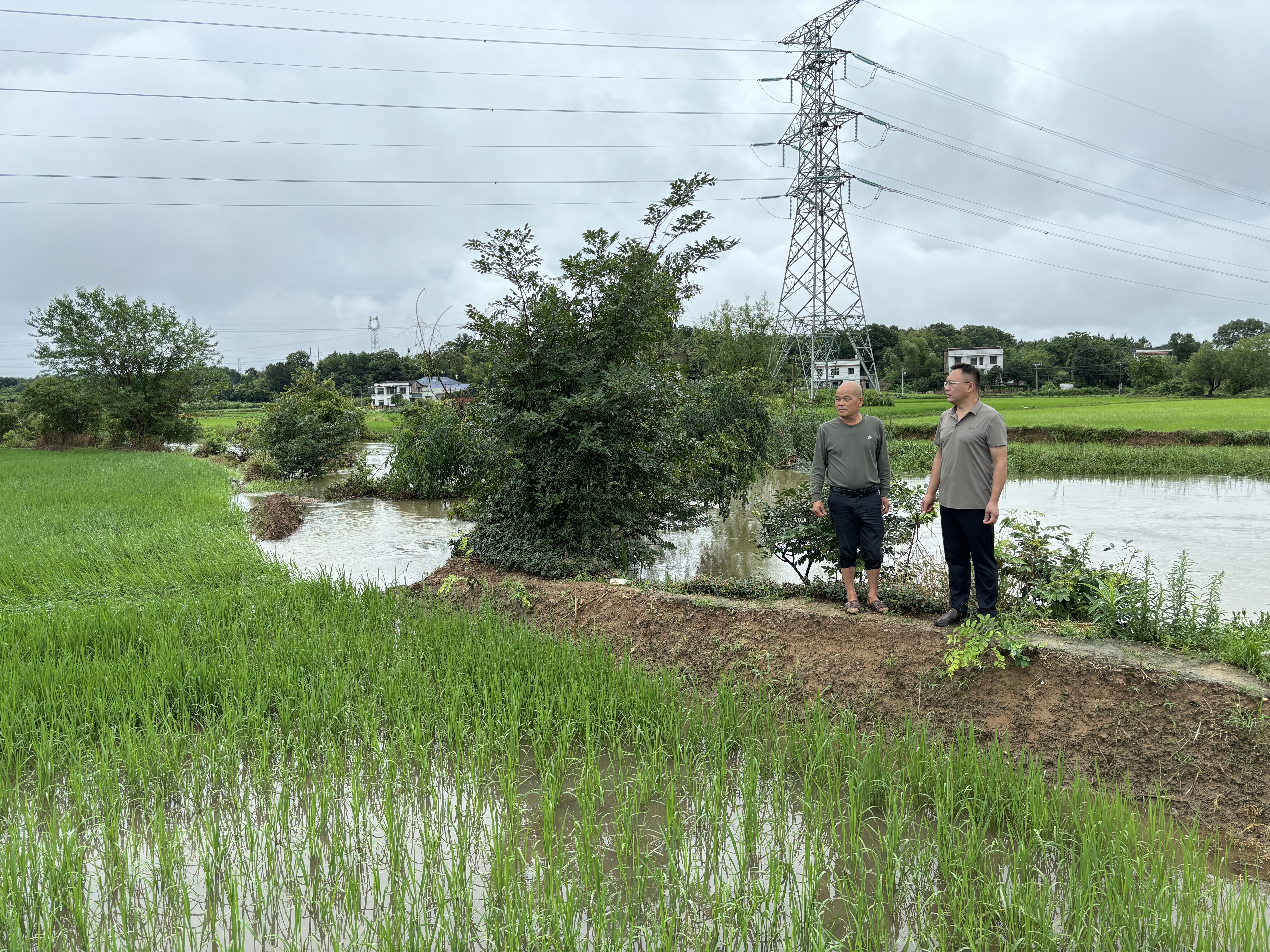 【迎战强降雨】湘乡：农技人员下沉一线 指导灾后田间管理