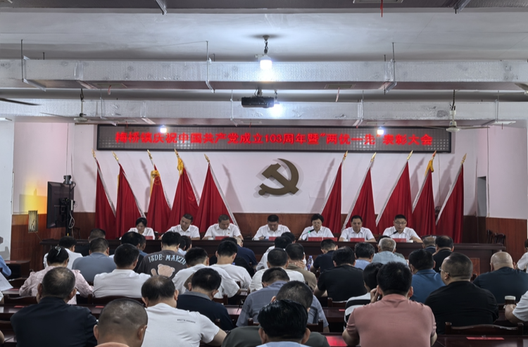 [梅桥镇]表彰先进 激励奋进
