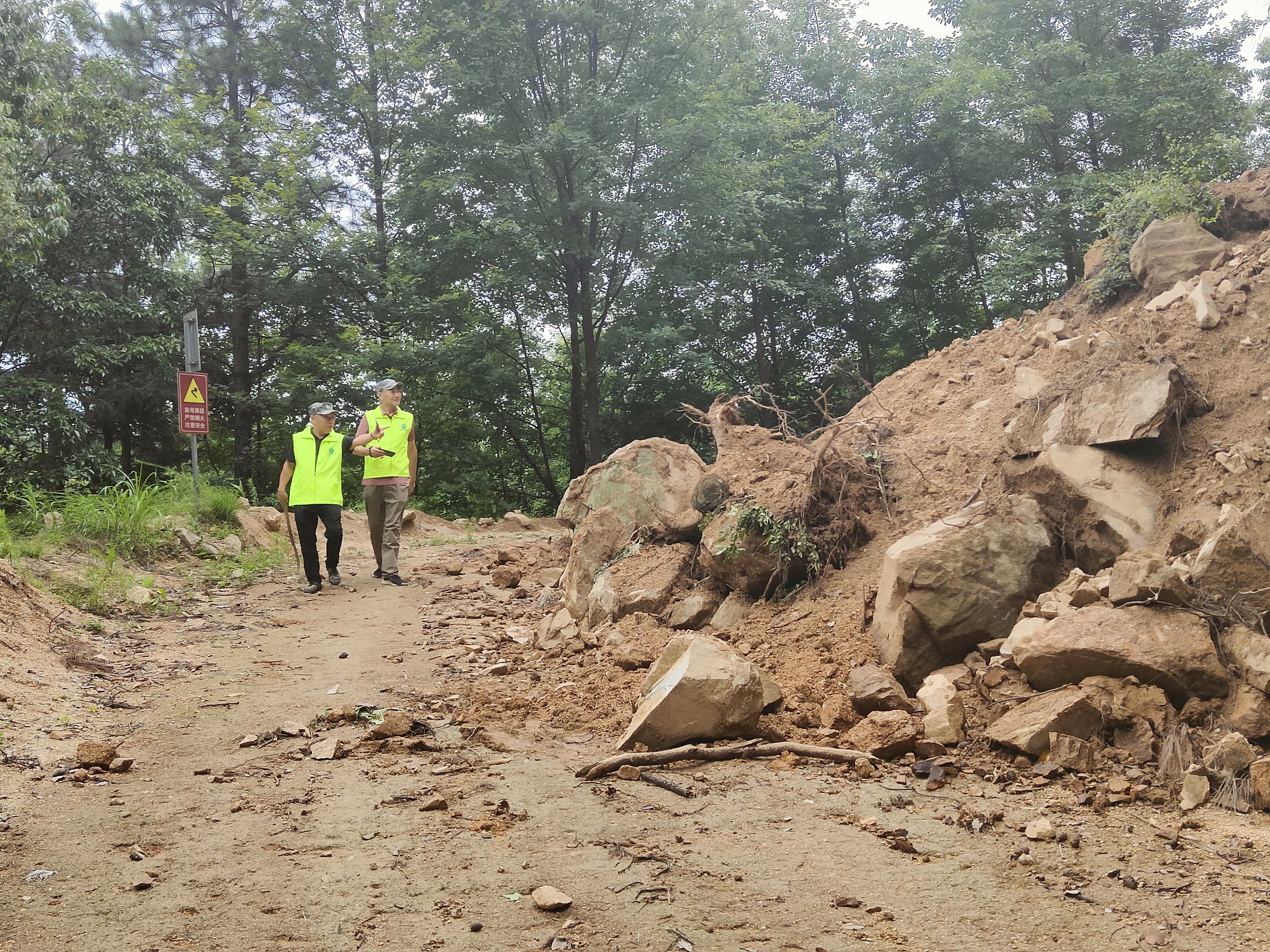 湘乡：护林员坚守防汛一线 当好林区守护者