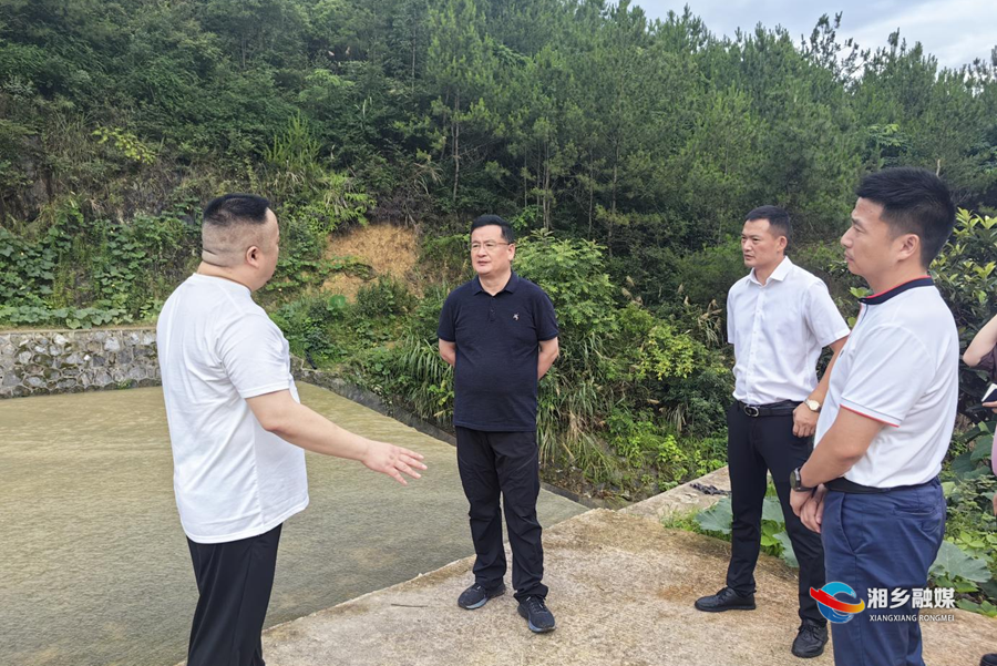 赵新文赴乡镇督查防汛救灾工作