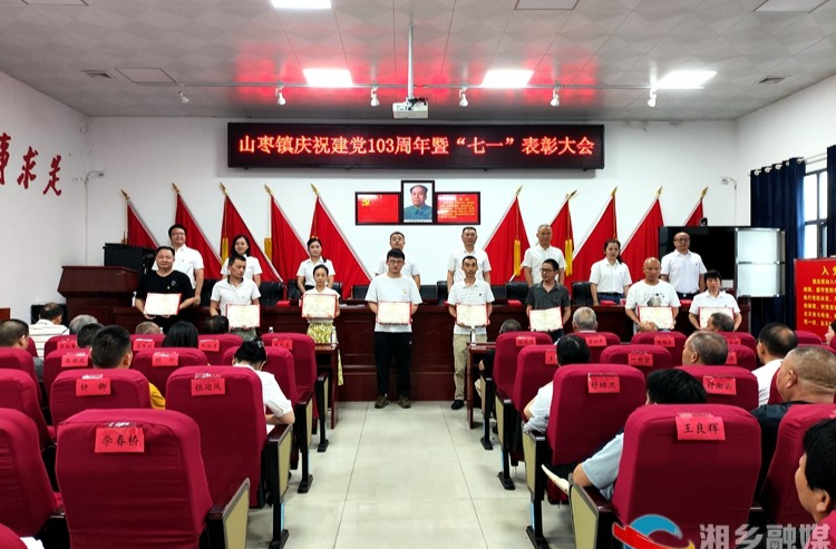 [山枣镇]表彰优秀树典型 专题党课强党性