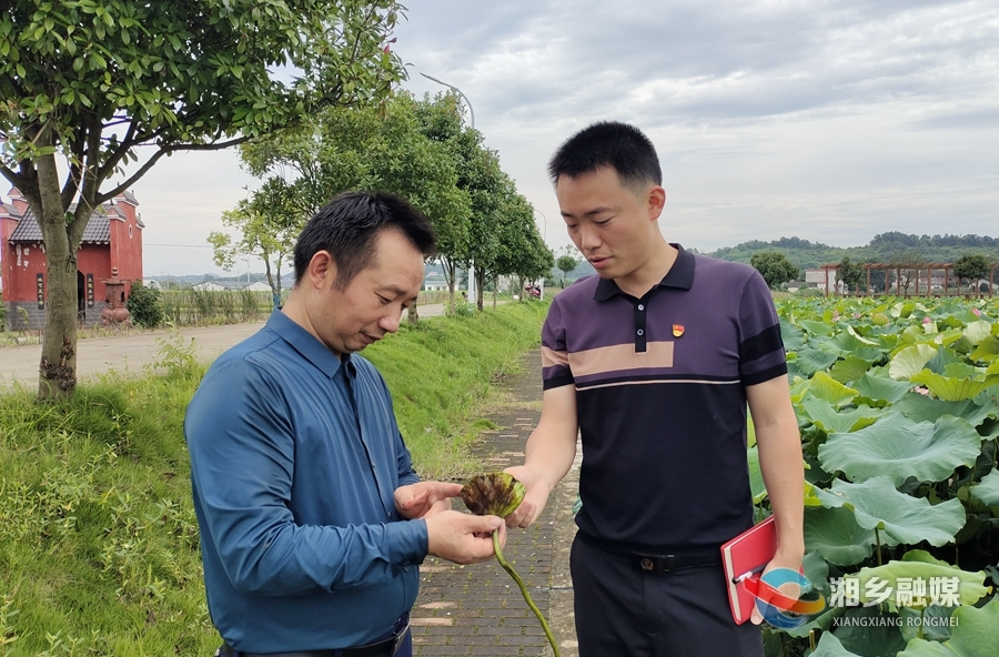 【身边的榜样·“两优一先”】曾永：真心驻村抓发展 真情为民促振兴