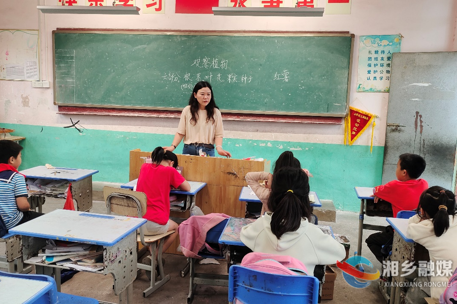 【身边的榜样·师德标兵】方谊：奔赴乡村育桃李 三尺讲台献青春