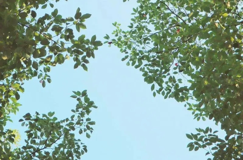 36℃！湘乡将回归高温天气，请注意防暑！