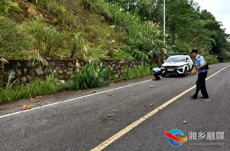 [公安局]水府派出所民辅警及时消除公路落石隐患