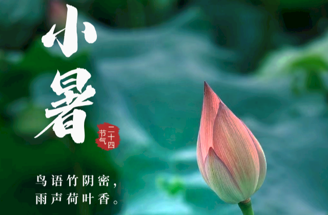 今日小暑 | 鸟语竹阴密，雨声荷叶香