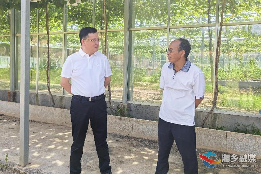 赵新文到泉湖片区走访调研