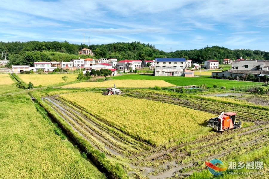 【“湘”村振兴】守护夏粮好“丰”景！农业综合服务中心注入新动能