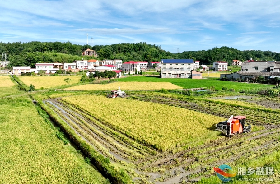 【“湘”村振兴】守护夏粮好“丰”景！农业综合服务中心注入新动能