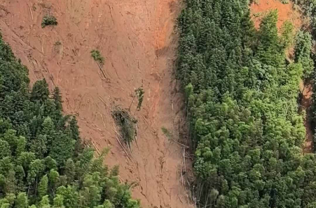 郴州“八面山”为何“受伤”这么重？