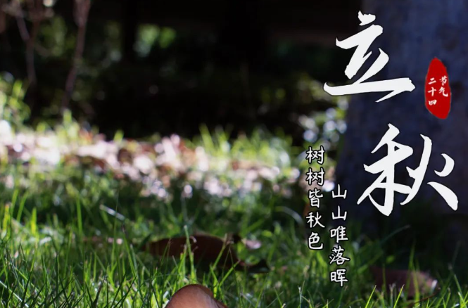 今日立秋 | 睡起秋声无觅处，满阶梧叶月明中