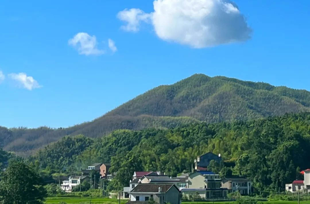 今日处暑 | 袅袅秋风起 最美人间秋