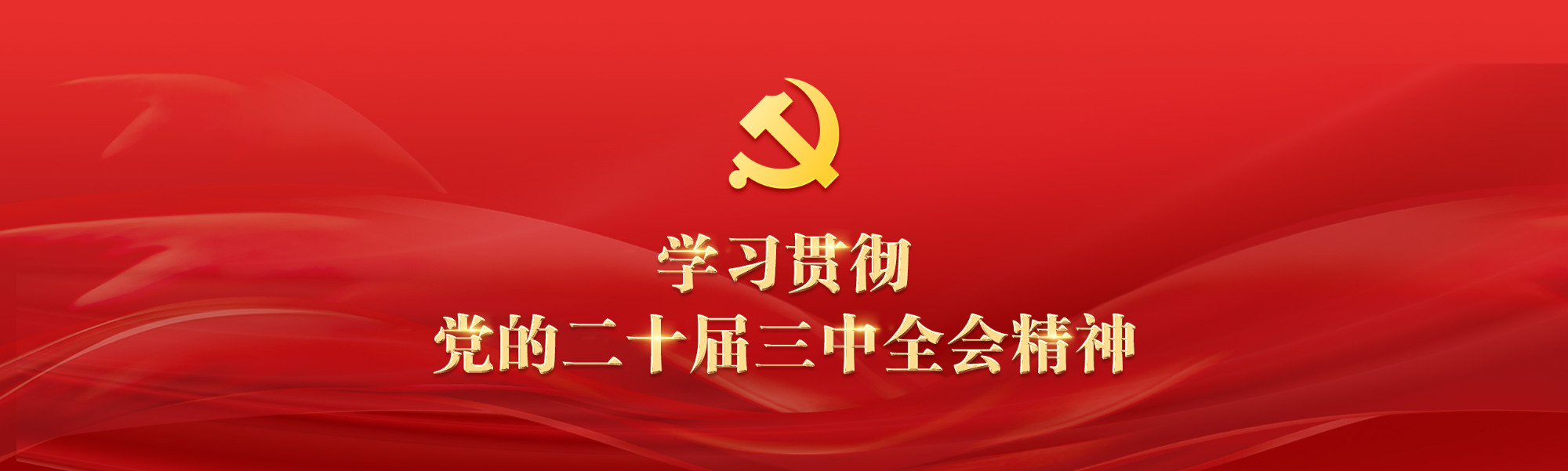 学习贯彻党的二十届三中全会精神