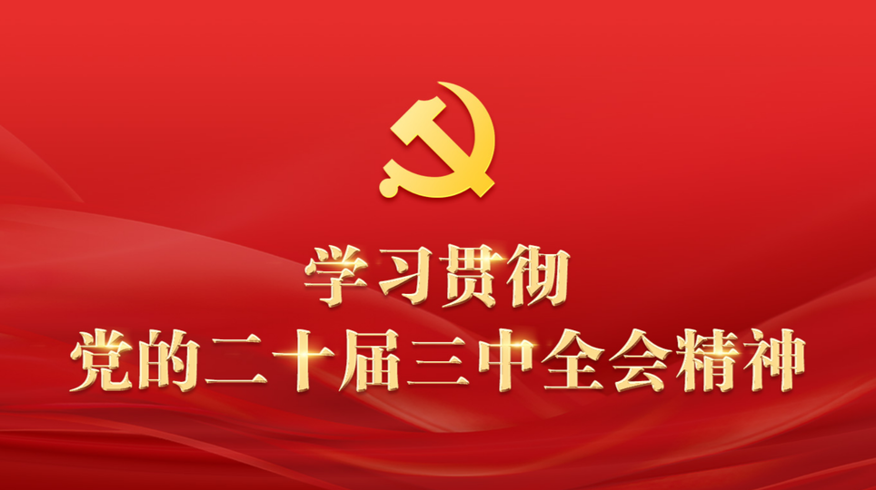 学习贯彻党的二十届三中全会精神