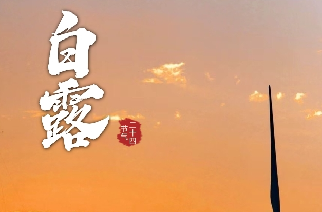 今日白露 | 露从今夜白，秋风渐染林