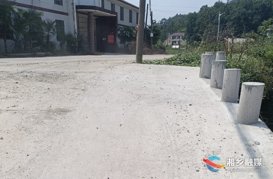 [潭市镇]乡贤不忘桑梓地 集资修路惠乡亲