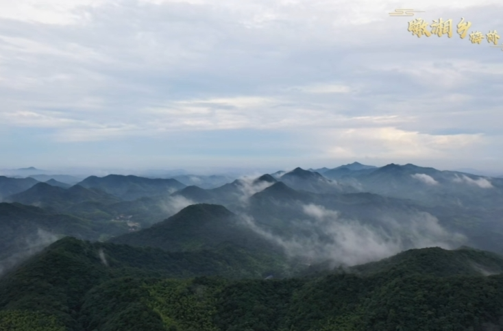 爱了！鸟瞰梅桥镇，遇见“治愈系”的乡村美景