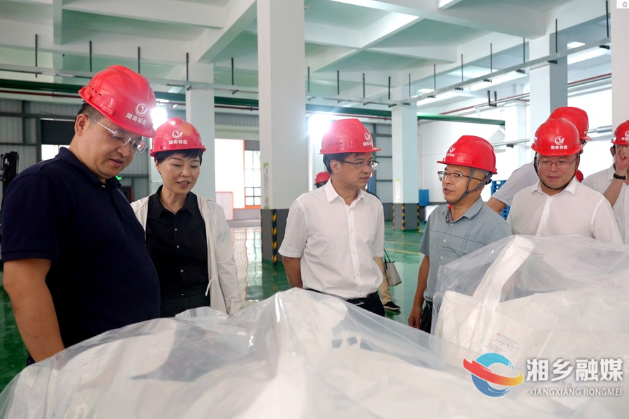 “两重”“两新”送解优丨省“两重”“两新”送解优专项行动工作组来湘乡调研走访企业