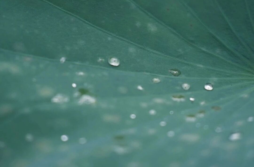 最低温将降至19℃！湘乡未来一周天气如何……