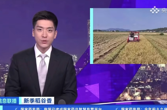 央视推介！湘乡高标准农田助力粮食增产