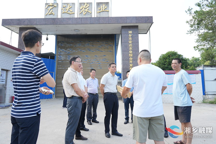 王建球来湘乡调研农业安全生产工作