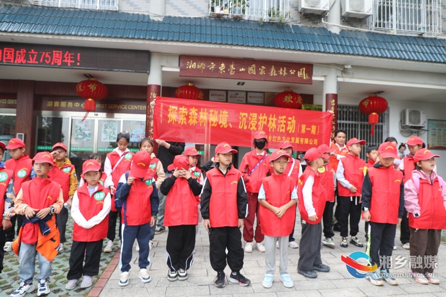 小小护林员 探索森林秘境