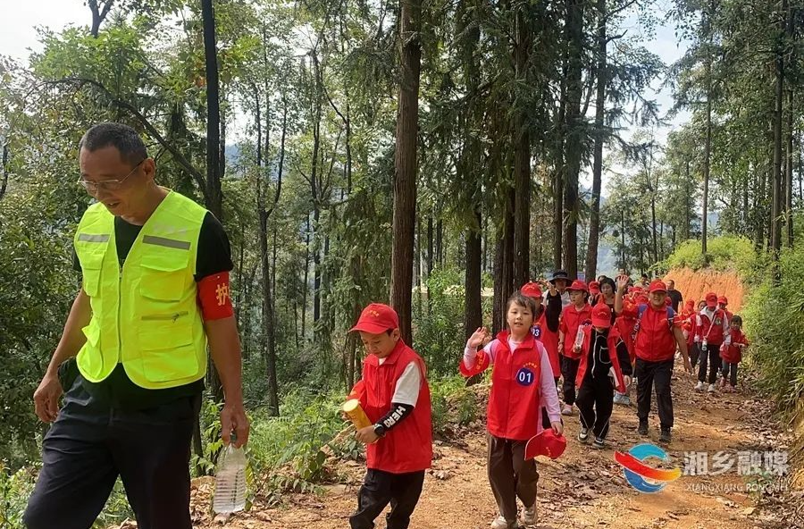 探索森林秘境！湘乡小小护林员“上岗”