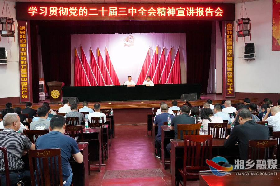 赵新文：以实干实绩推动党的二十届三中全会精神落地见效