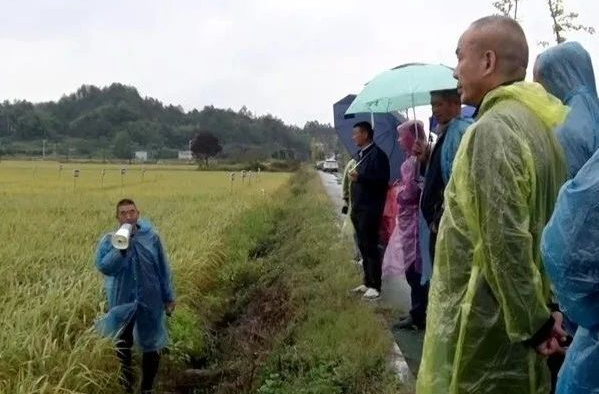 干货满满！湘潭市这场试验观摩会在湘乡举行
