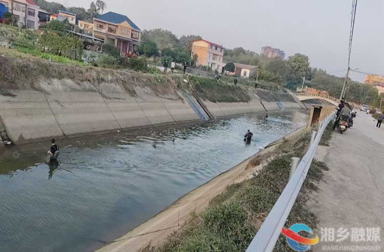 [新湘路街道]监督水治理 情系民生事