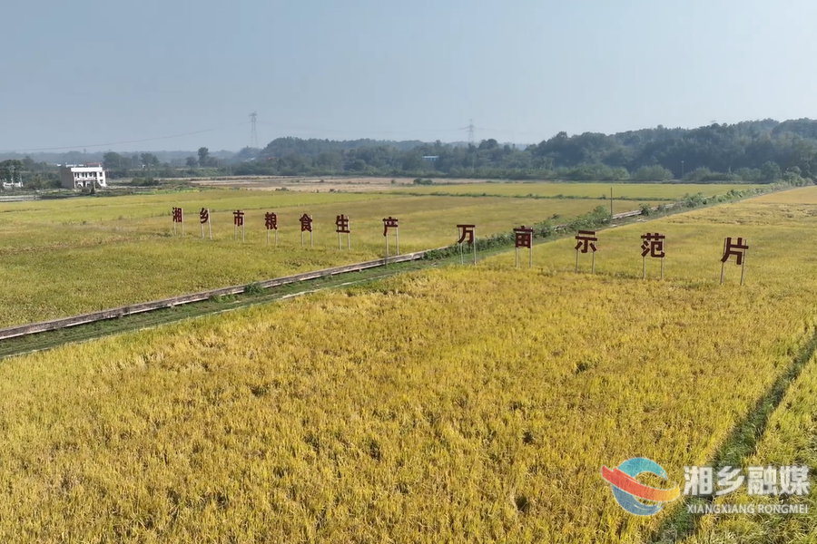 【“湘”村振兴】湘乡：“三良”法则保秋粮增产增收
