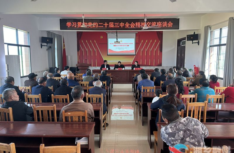 [翻江镇]学深悟透全会精神 奋发有为推进落实
