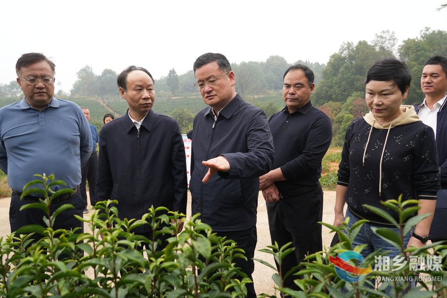 刘俊来湘乡参加湘潭市人大代表小组活动