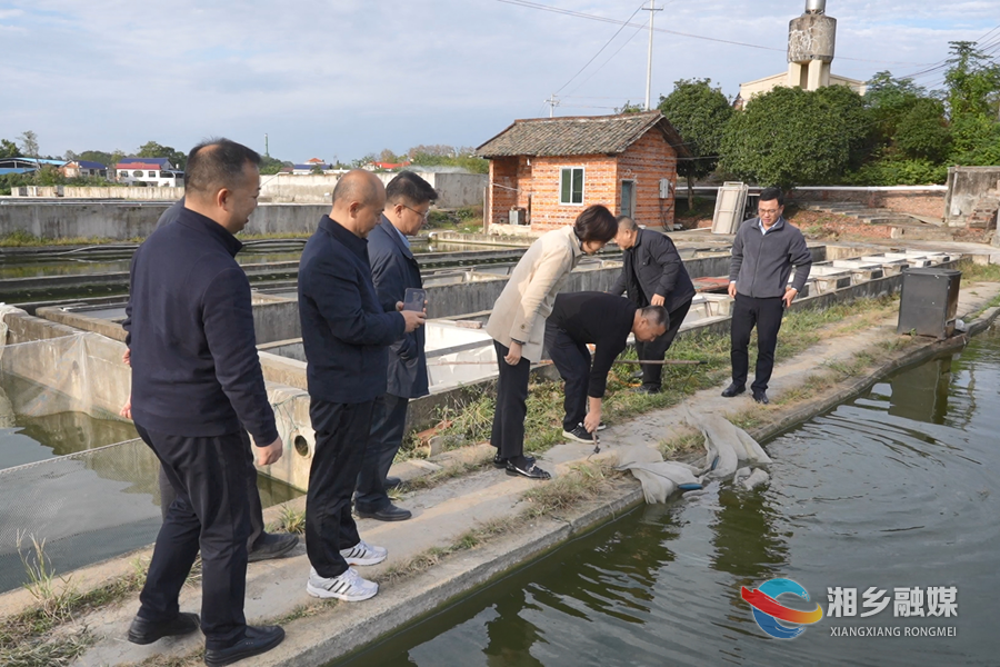 省委农办来湘乡调研农业农村经济发展和巩固拓展脱贫攻坚成果工作