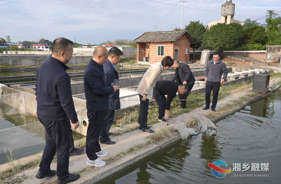 省委农办来湘乡调研农业农村经济发展和巩固拓展脱贫攻坚成果工作