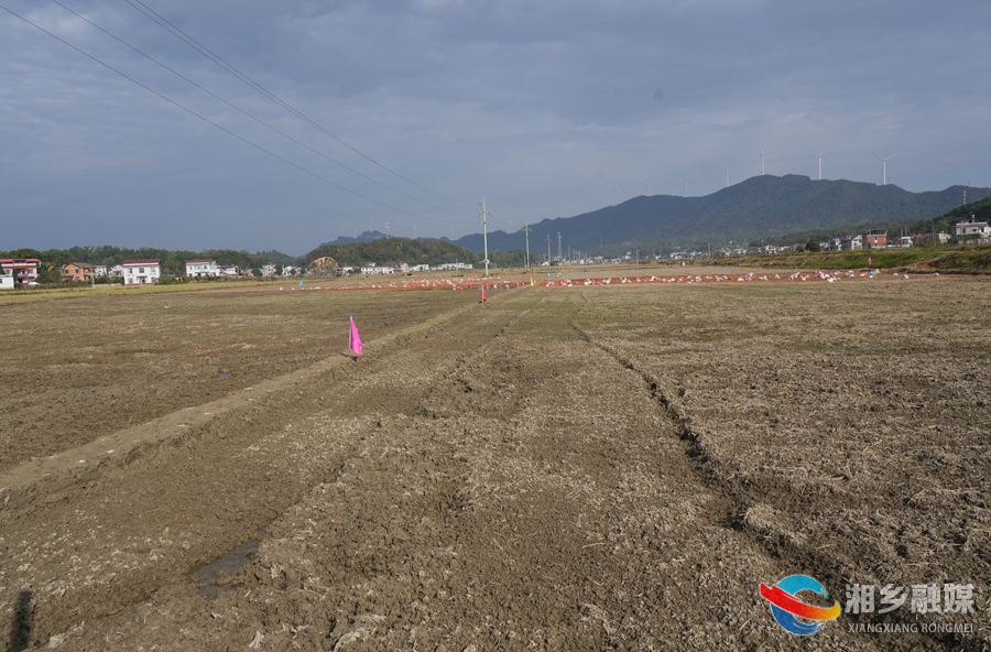 【“百日攻坚”行动】湘乡：夯实“耕”基 高标准农田建设正酣